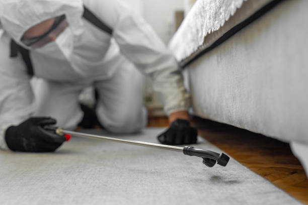 Professional Cockroach Control technician working in Margate, FL