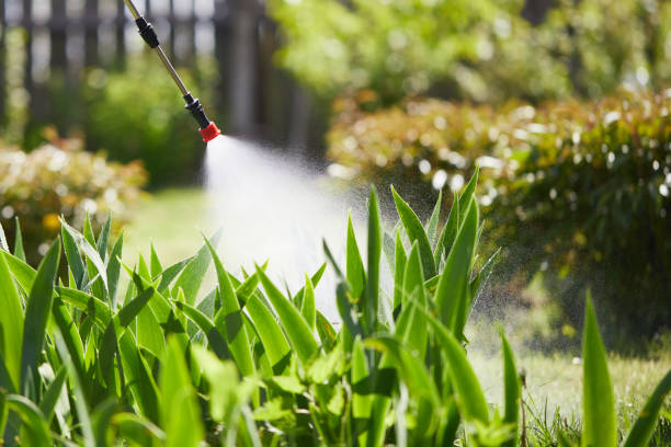 24/7 Emergency Cockroach Control experts in Margate, FL